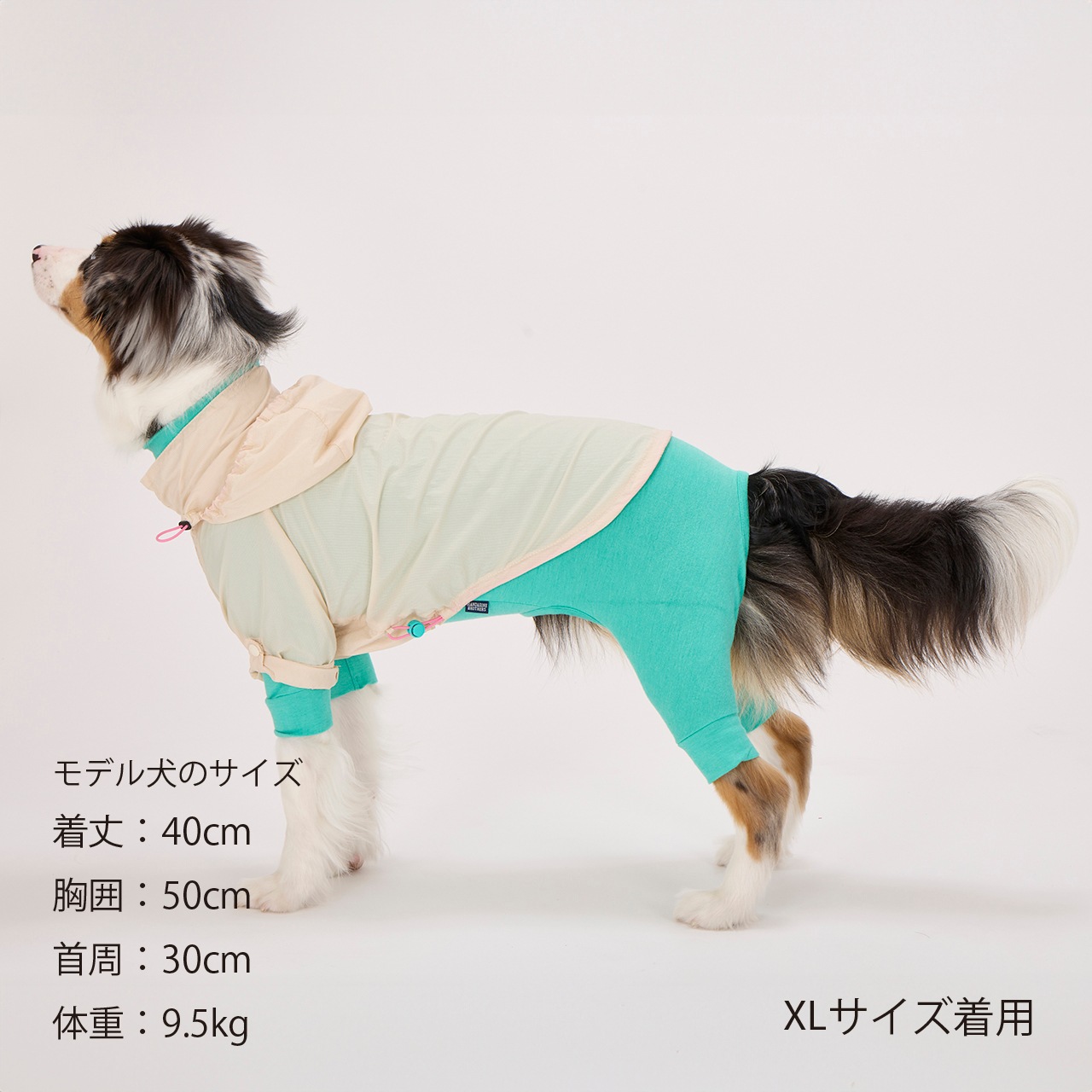 えりサイズ2 WINDBREAKER | WEAR | 犬服 MANDARINE BROTHERS マンダリン