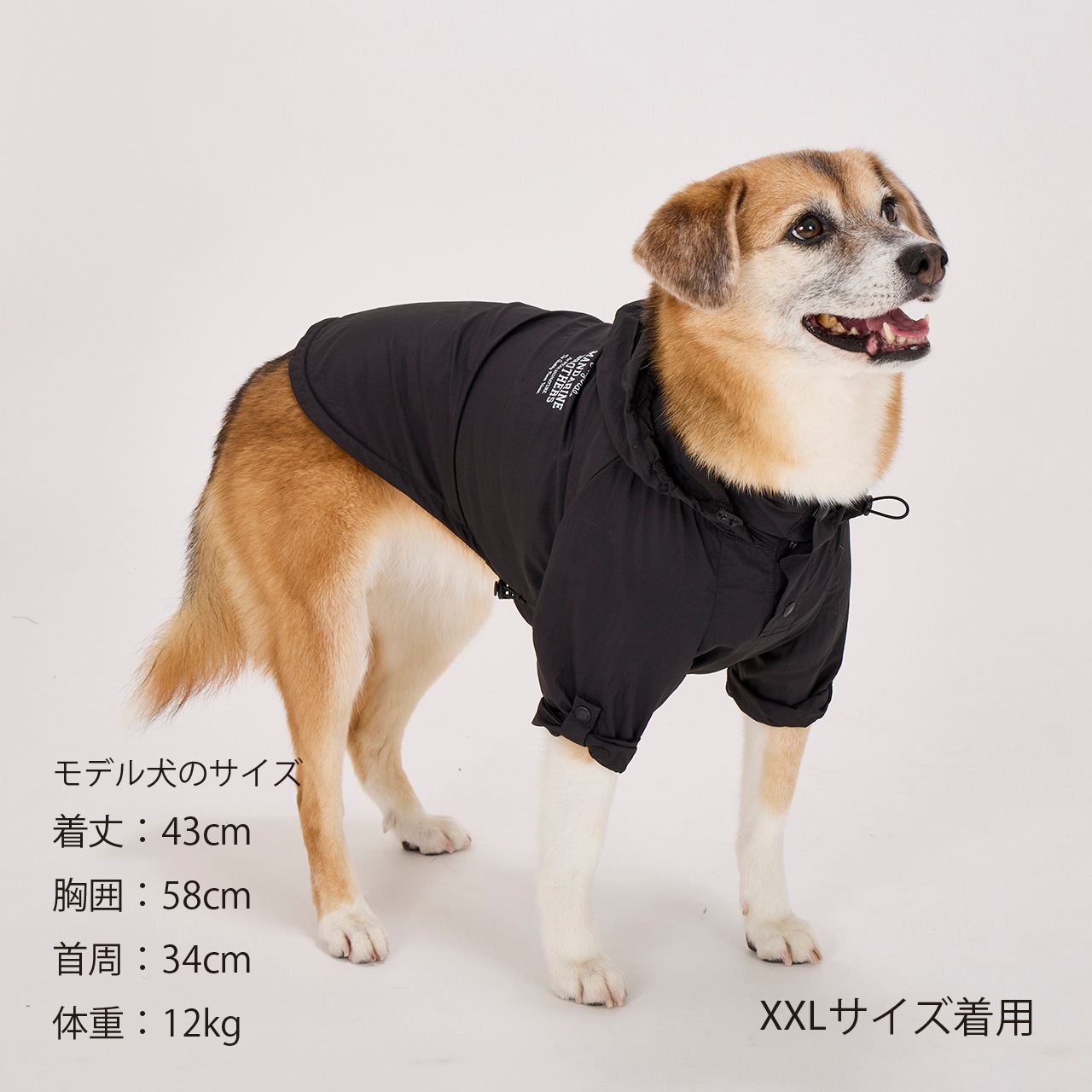 マンロクウェアLサイズ マンロクウェアLサイズ