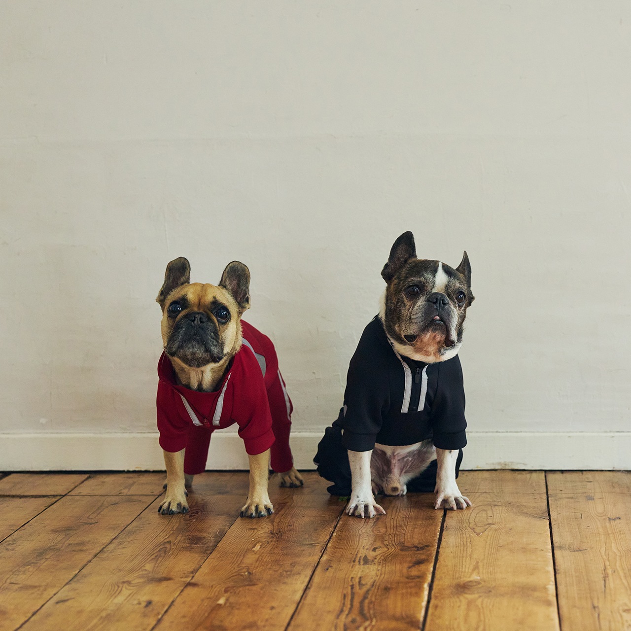 TRACK SUIT