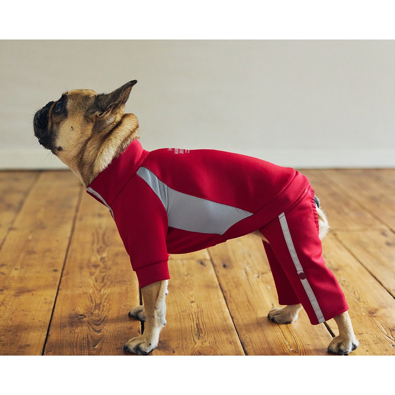 TRACK SUIT