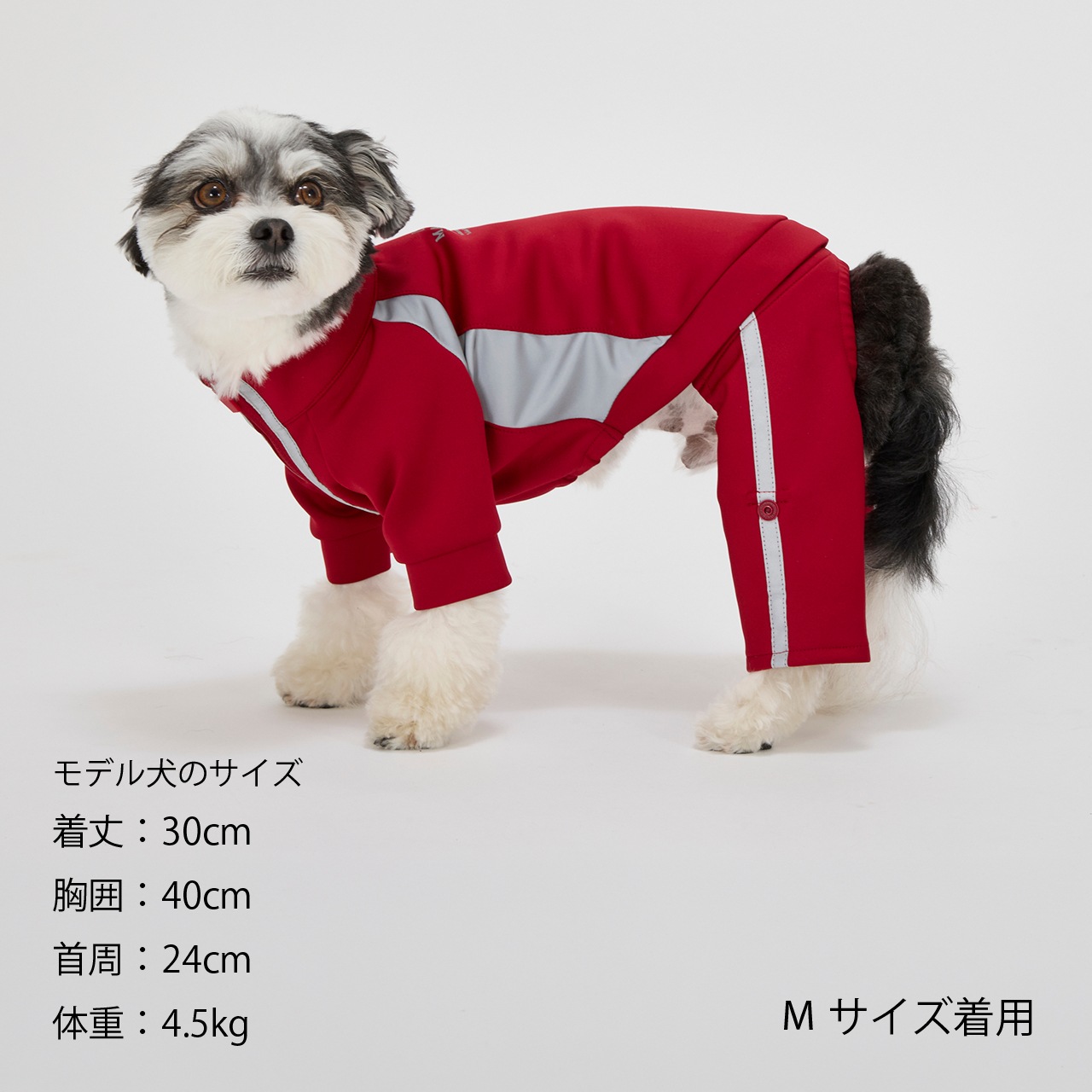 TRACK SUIT | 2026AW 新商品 | 犬服 MANDARINE BROTHERS マンダリン