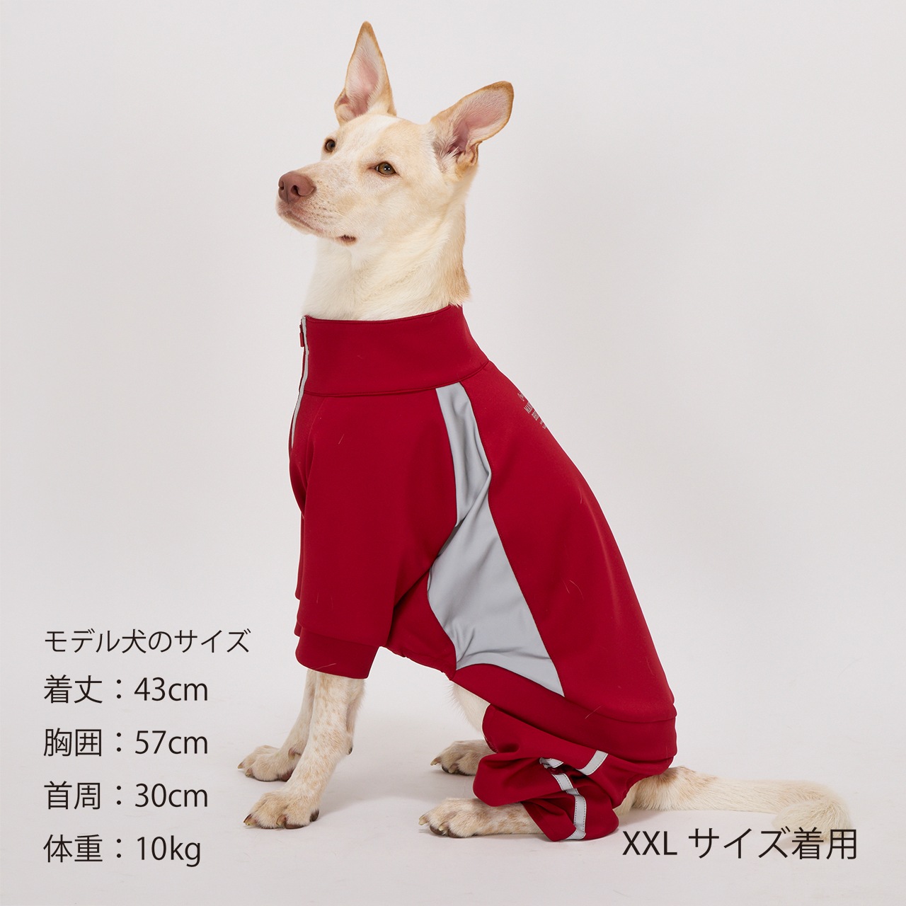 TRACK SUIT