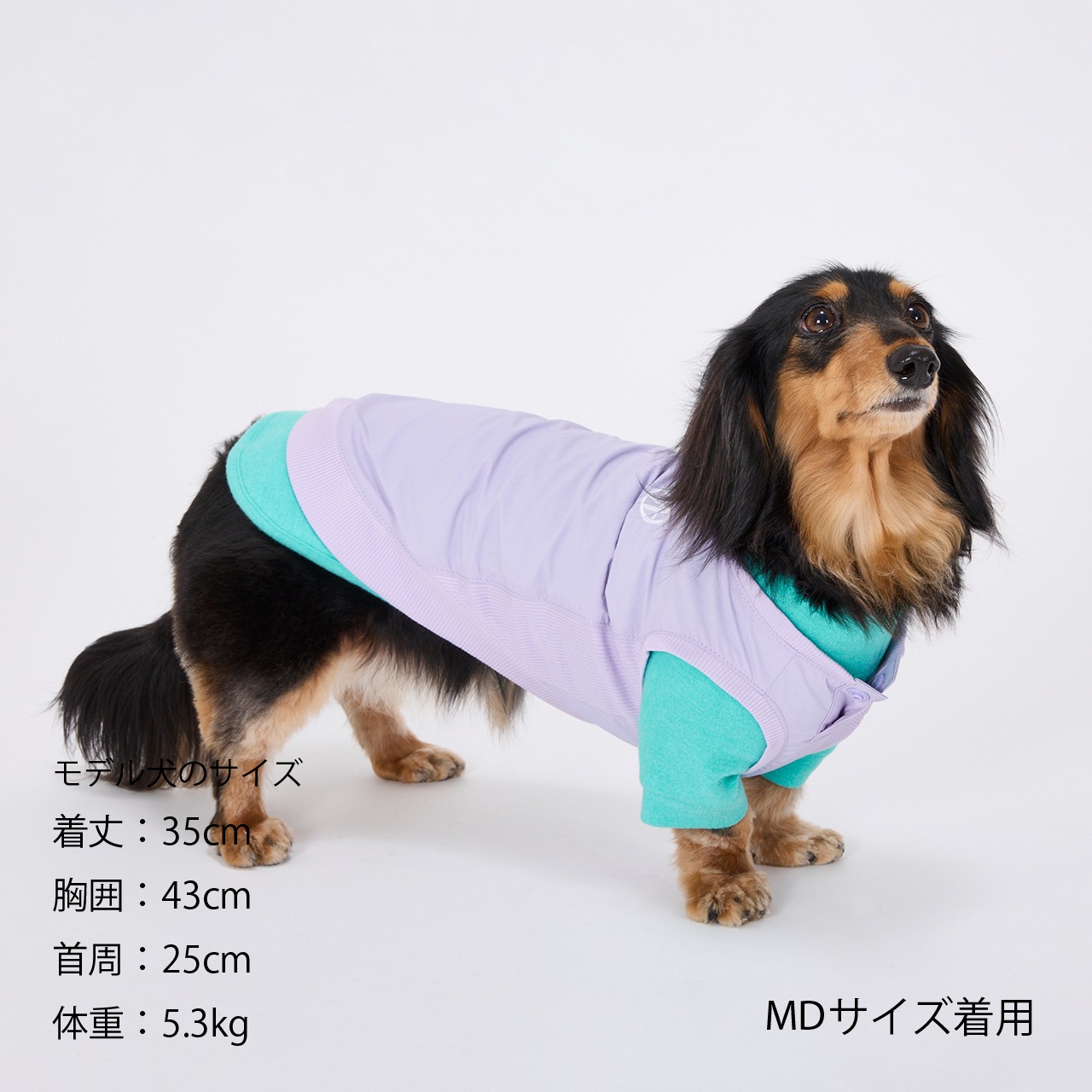 PISTE | WEAR | 犬服 MANDARINE BROTHERS マンダリンブラザーズ公式