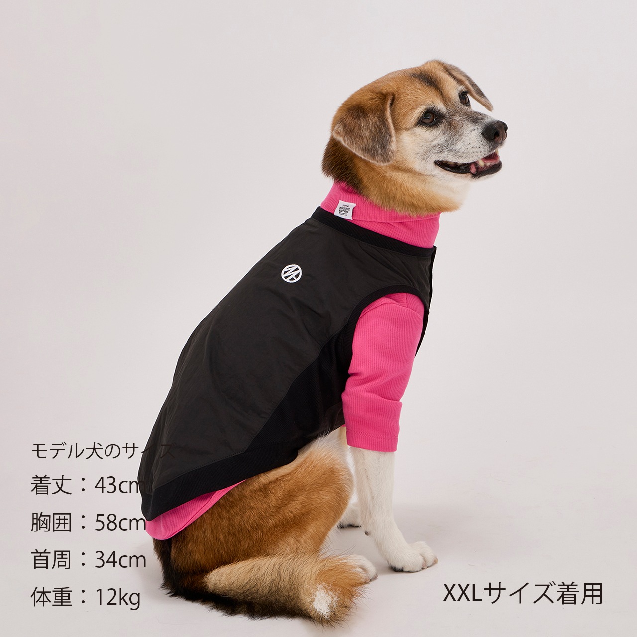 PISTE | WEAR | 犬服 MANDARINE BROTHERS マンダリンブラザーズ公式