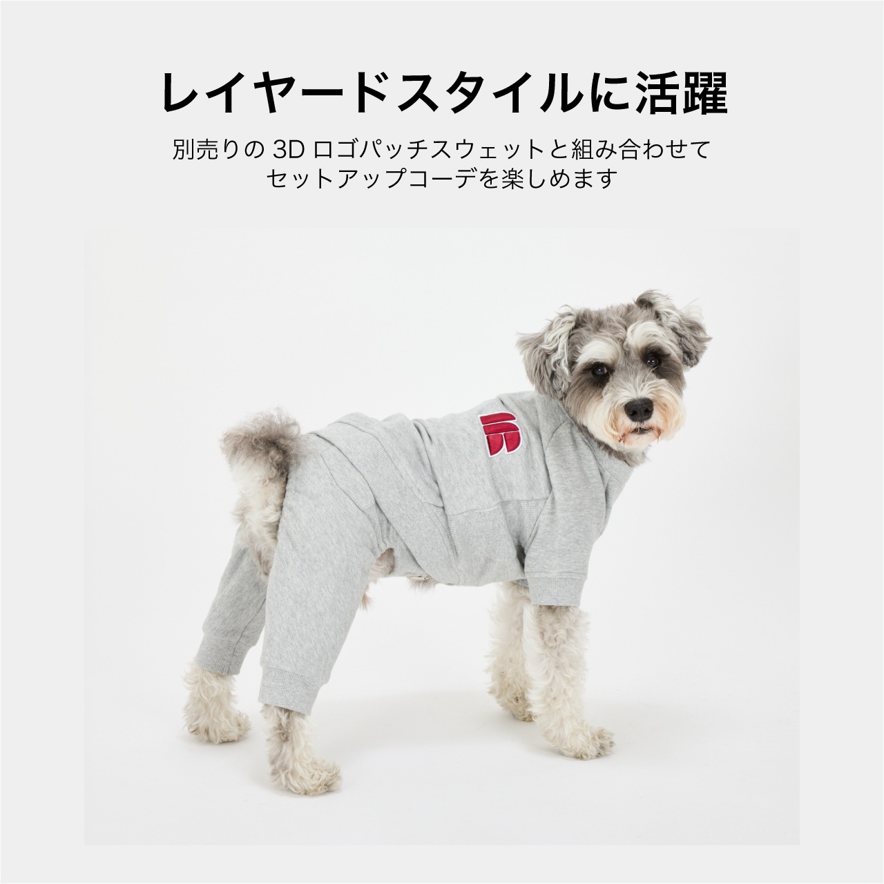 SUSPENDER PANTS