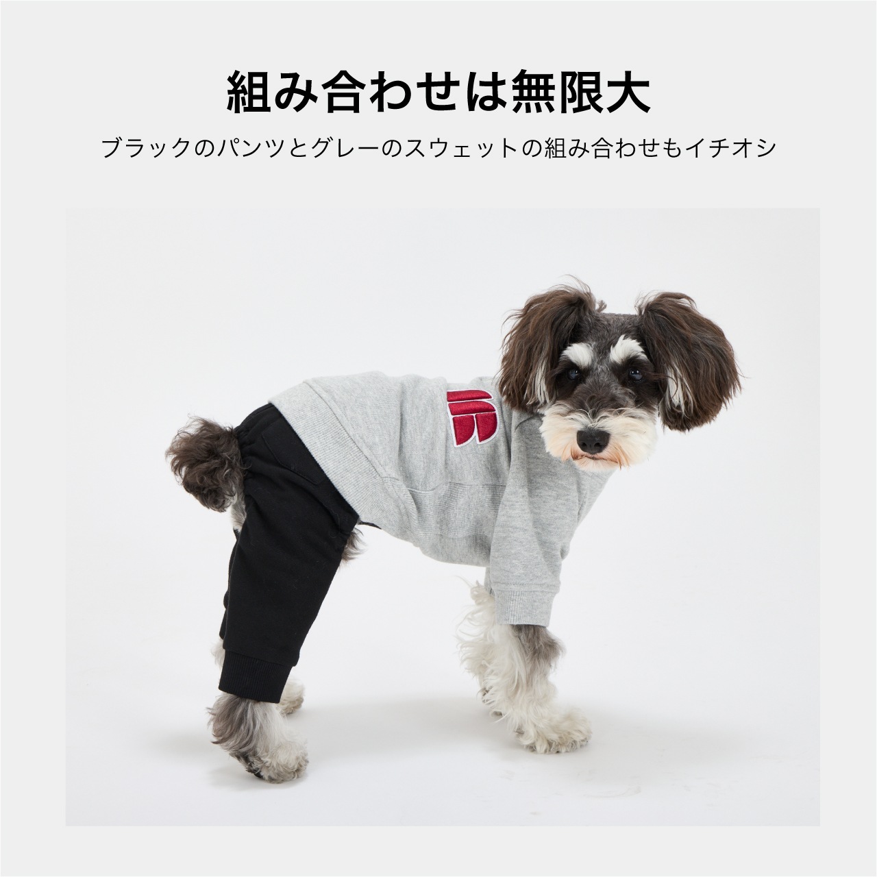 SUSPENDER PANTS