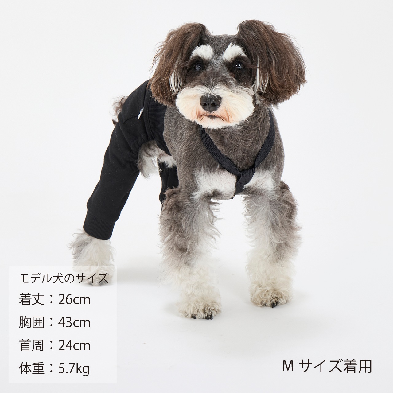 SUSPENDER PANTS