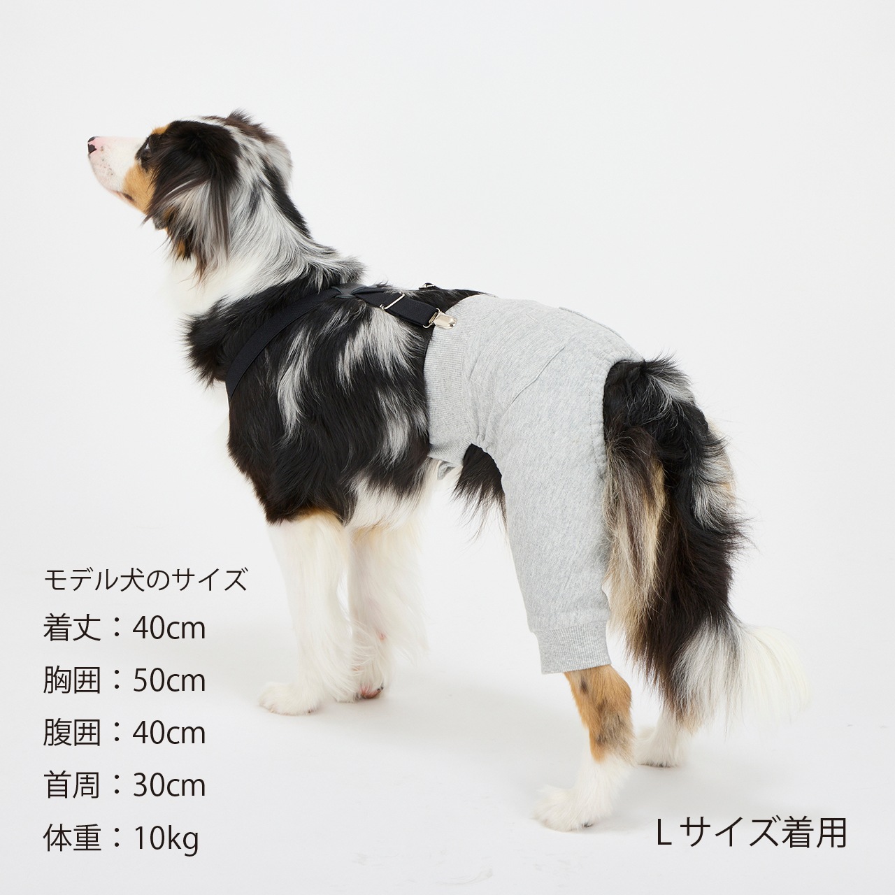 SUSPENDER PANTS