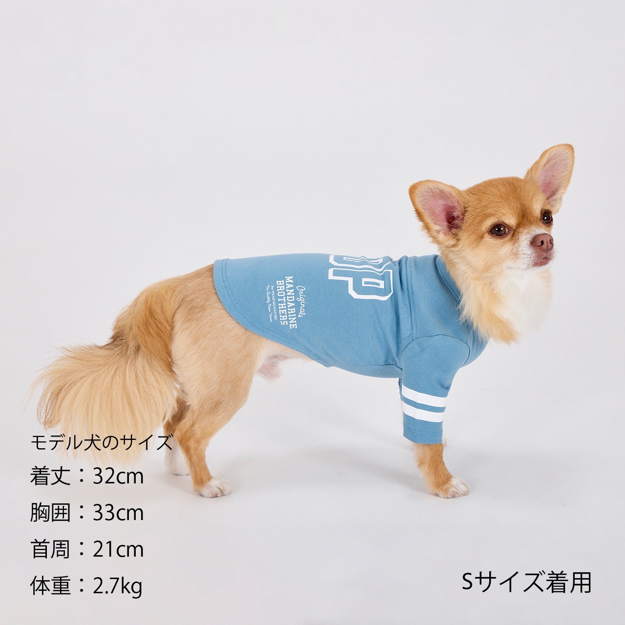 専用☆●犬服●ハンドメイド 胴43 NO.663 LONG SLEEVE T-SHIRT | 2025AW NEW ITEM | 犬服 MANDARINE