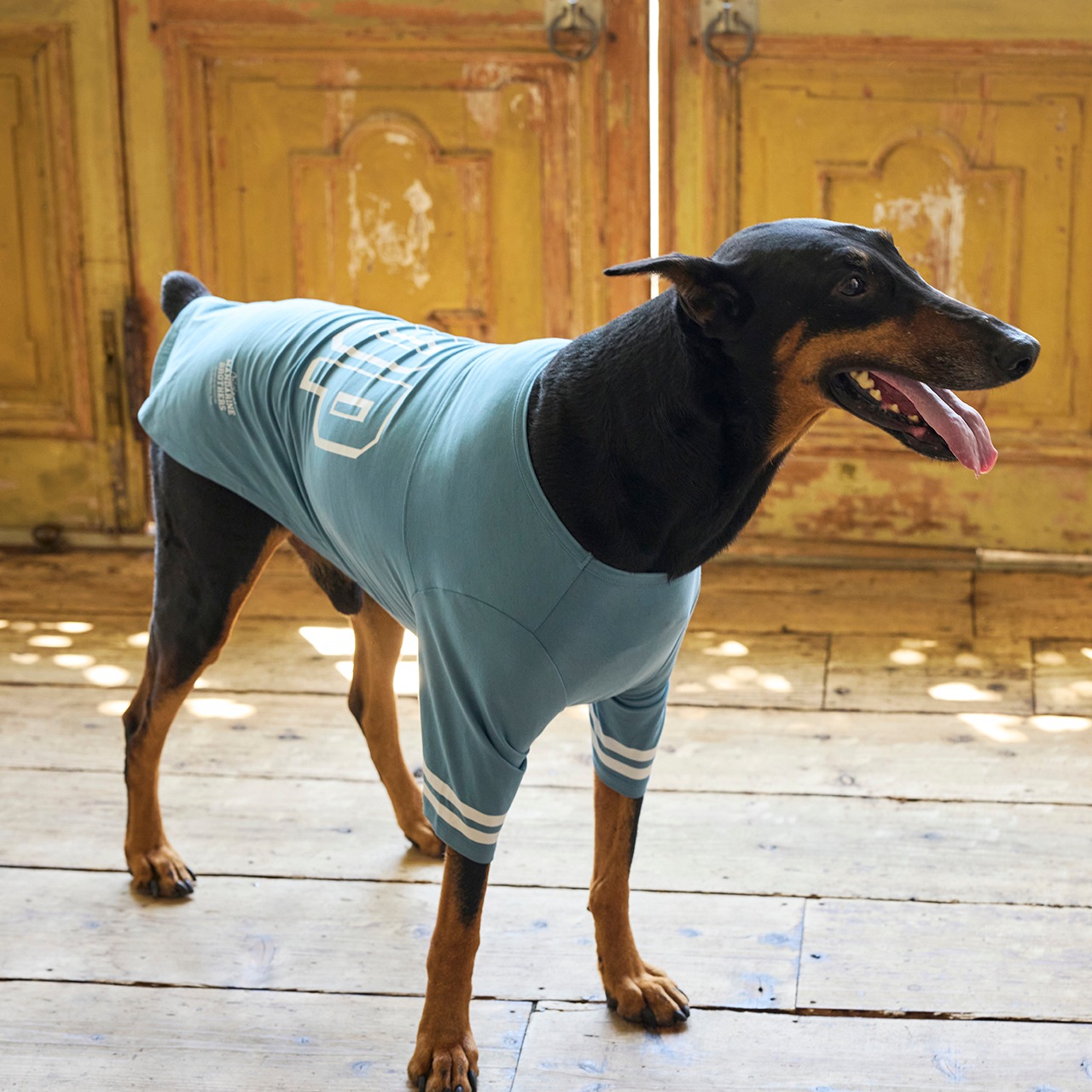 LONG SLEEVE T-SHIRT | WEAR | 犬服 MANDARINE BROTHERS