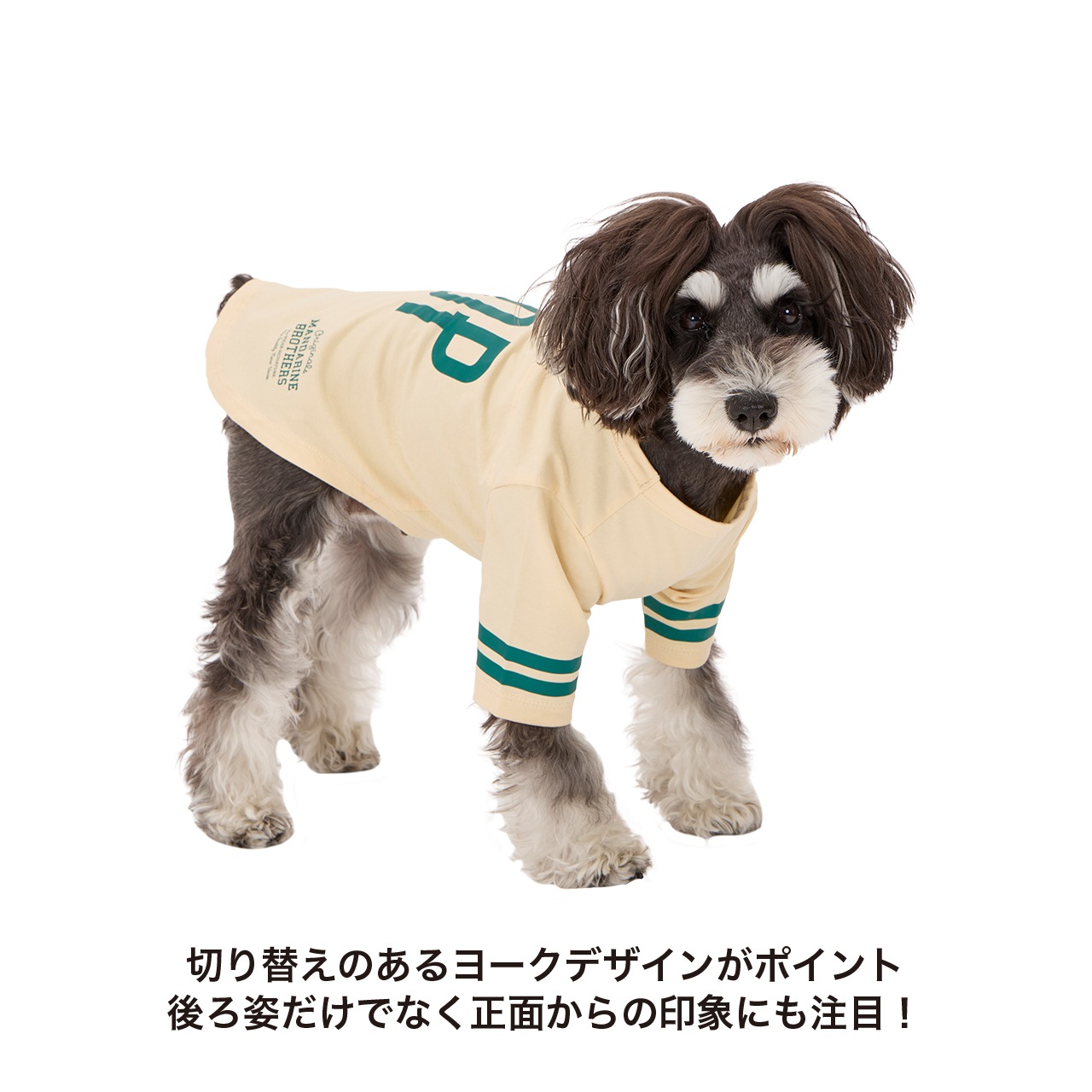 専用☆●犬服●ハンドメイド 胴43 NO.663 LONG SLEEVE T-SHIRT | 2025AW NEW ITEM | 犬服 MANDARINE