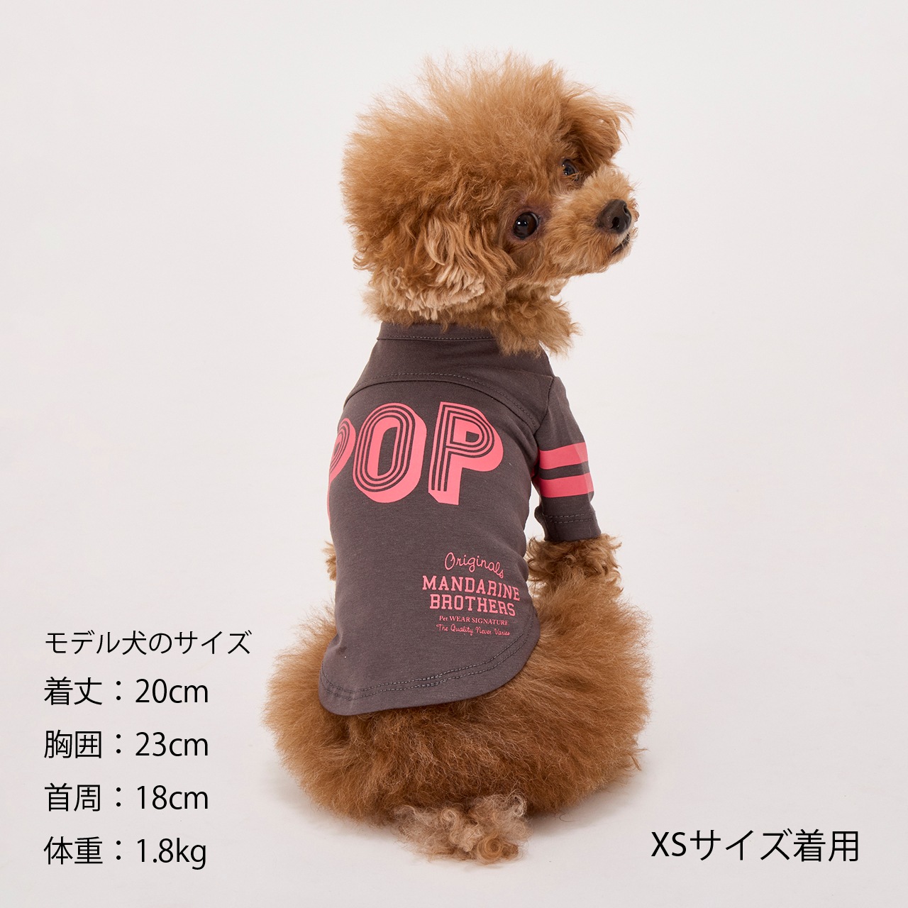 ブラザー殿様アフロ犬(豪華セット) アフロ犬