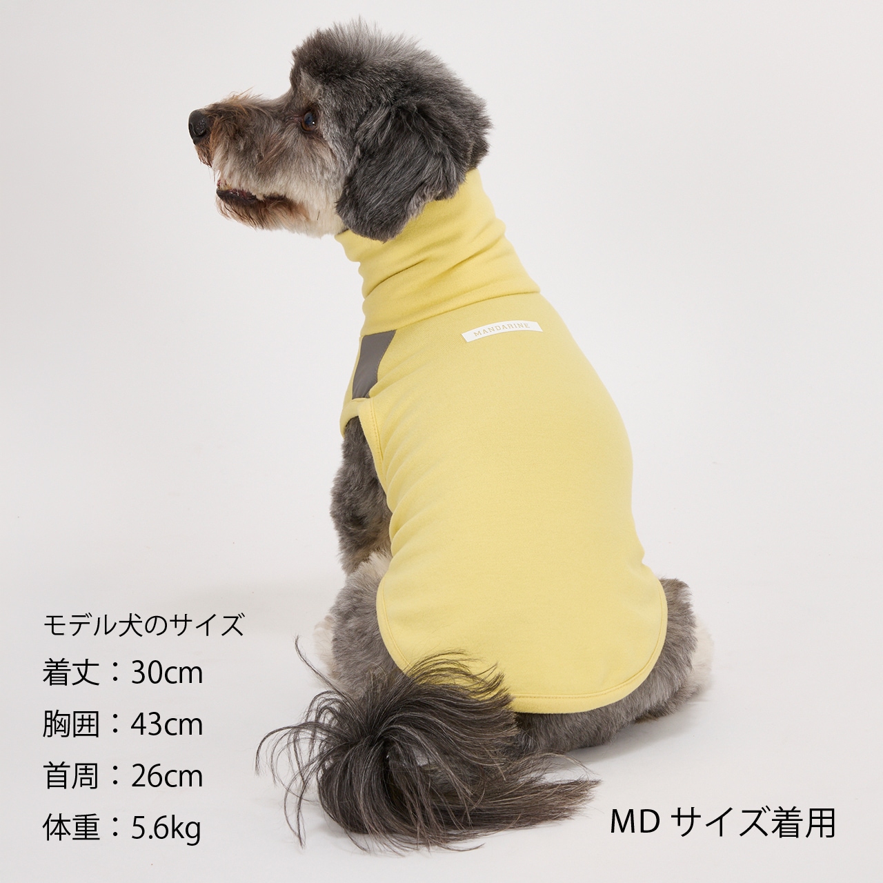 MOIST HIGH NECK T