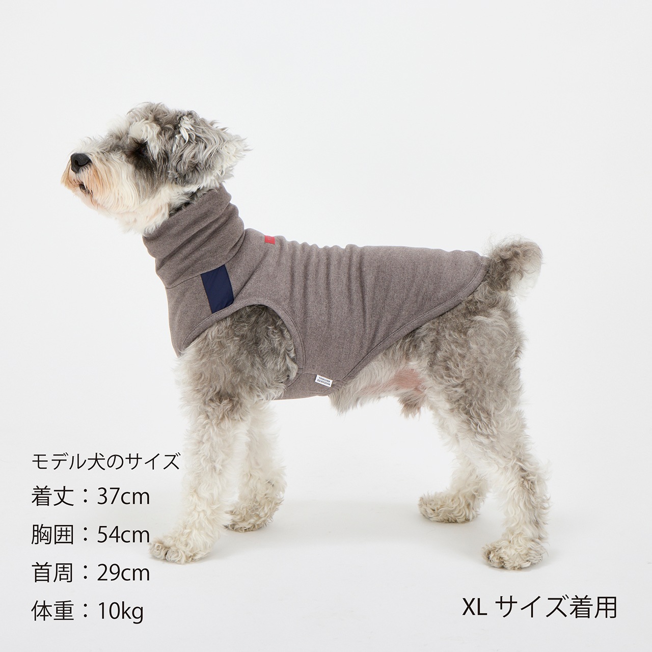 MOIST HIGH NECK T