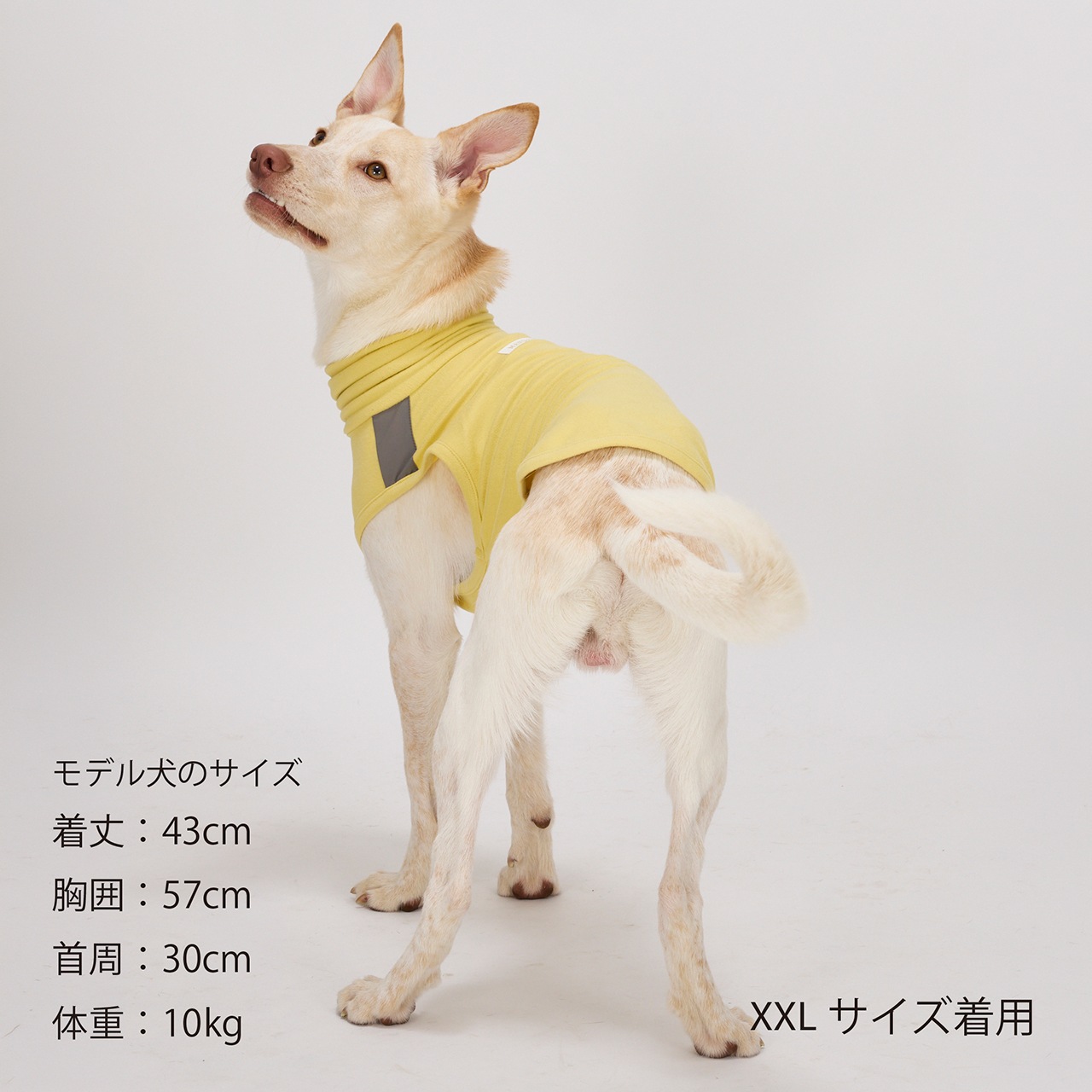 MOIST HIGH NECK T