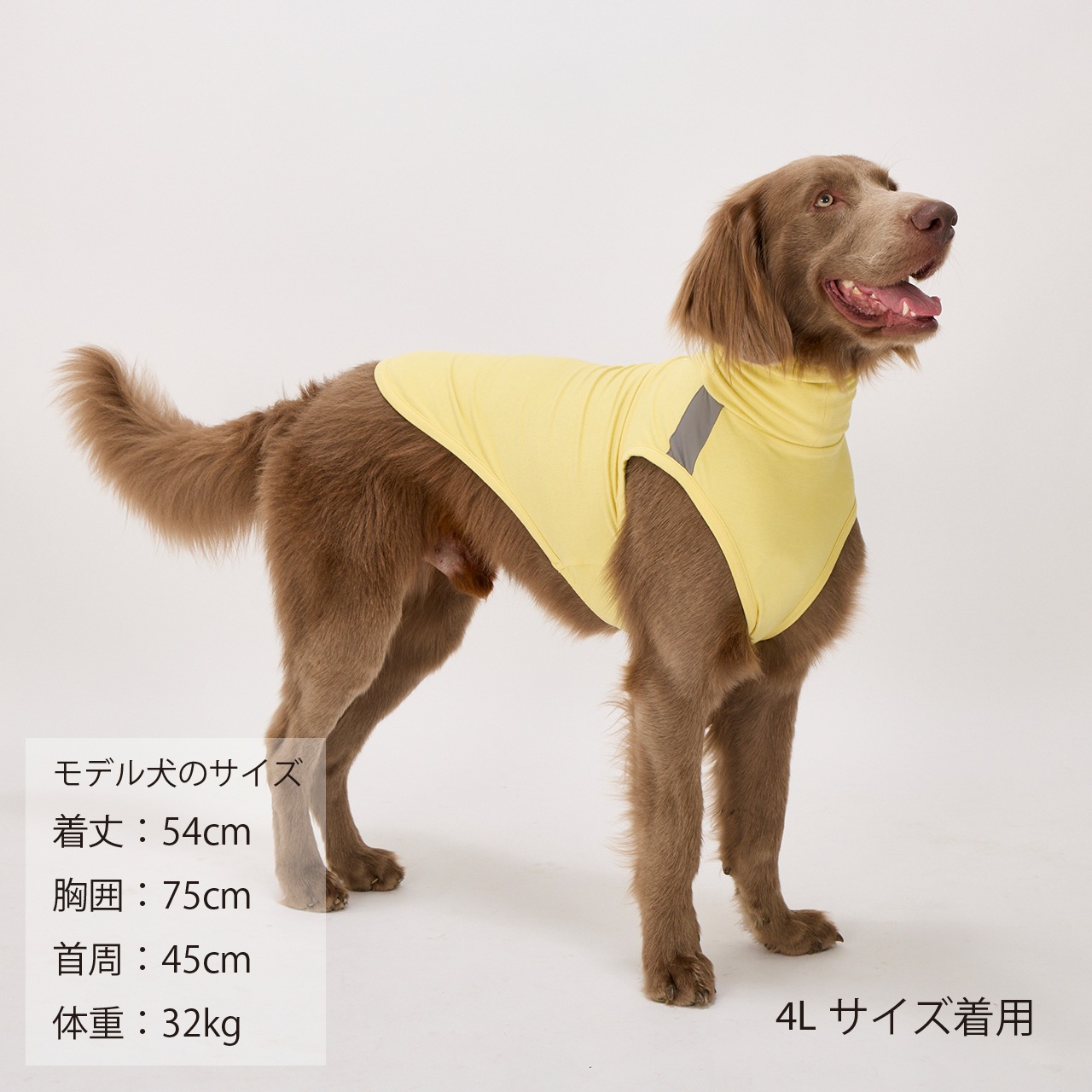 MOIST HIGH NECK T