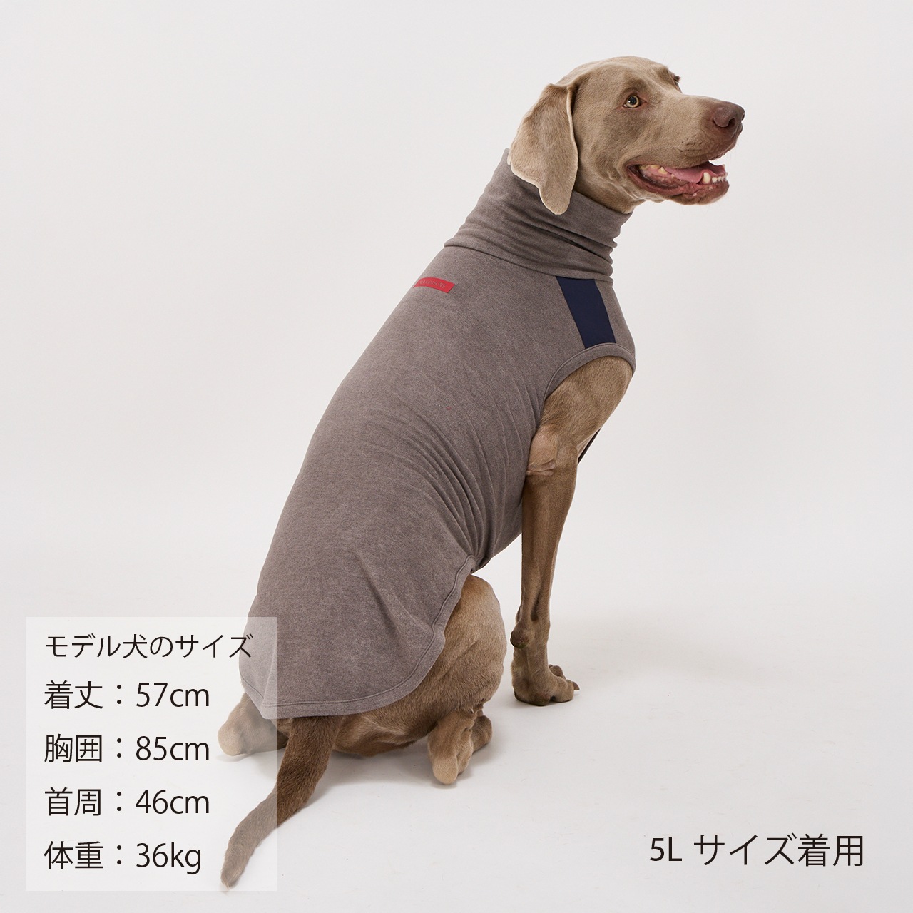 MOIST HIGH NECK T