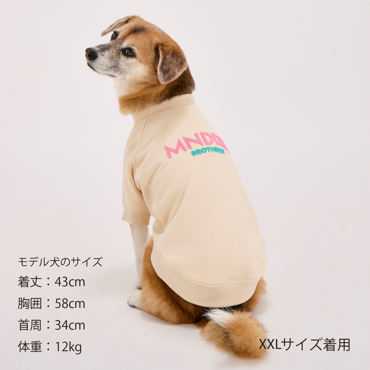 BRUSH LOGO SWEAT | WEAR | 犬服 MANDARINE BROTHERS マンダリン