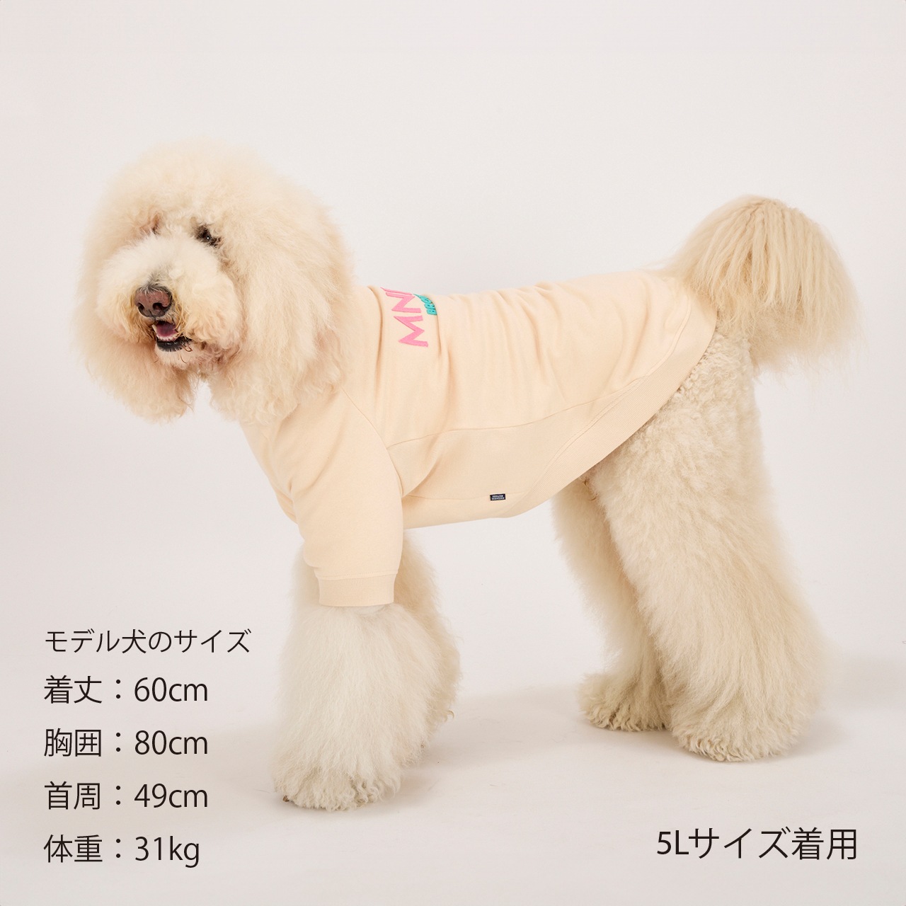 犬まんま ROUND BED Sサイズ | BED＆MAT | 犬服 MANDARINE BROTHERS
