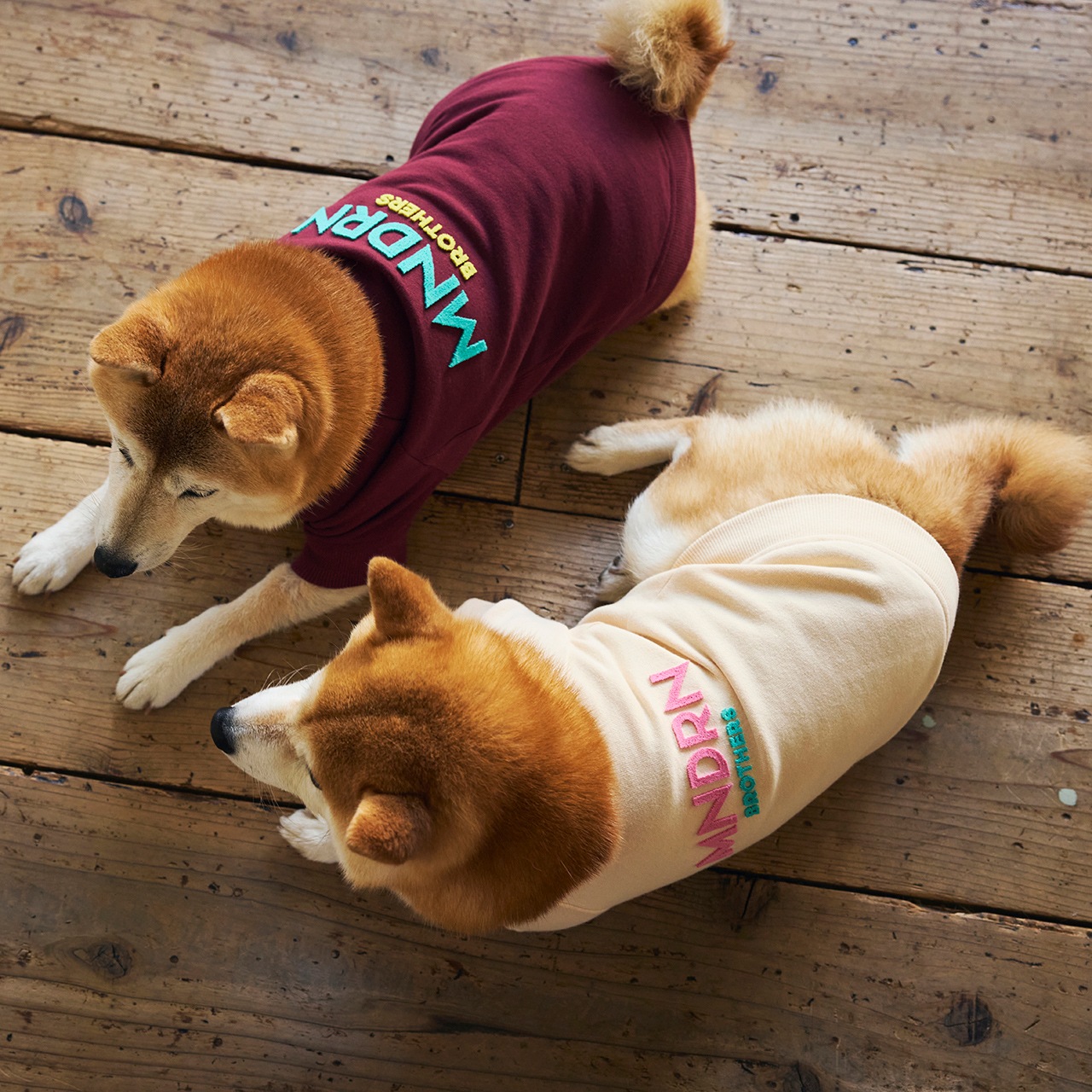 BRUSH LOGO SWEAT | WEAR | 犬服 MANDARINE BROTHERS マンダリン