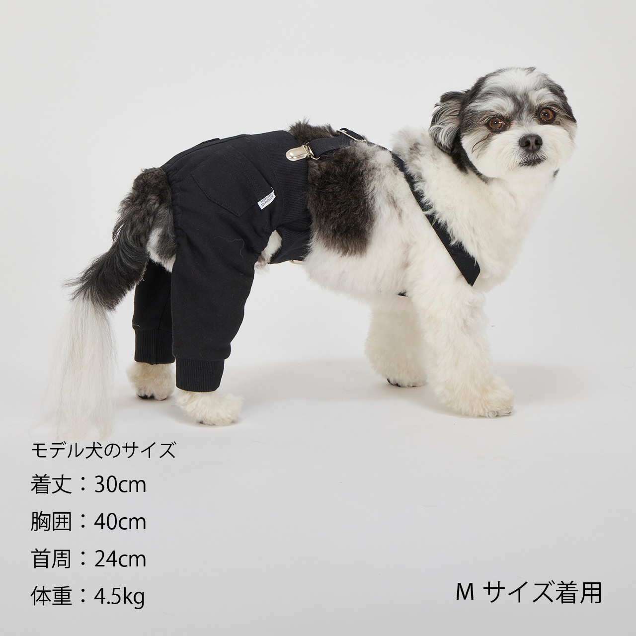 MB SUSPENDER