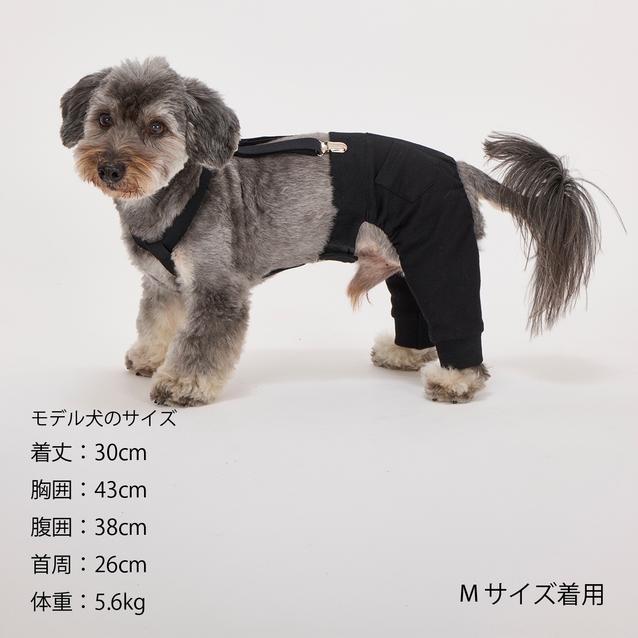 MB SUSPENDER