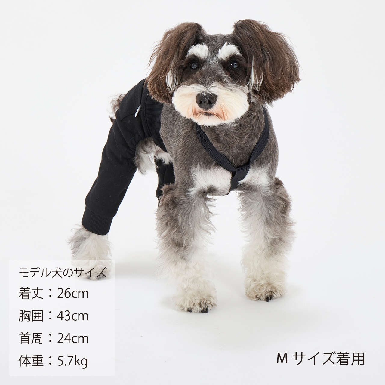 MB SUSPENDER
