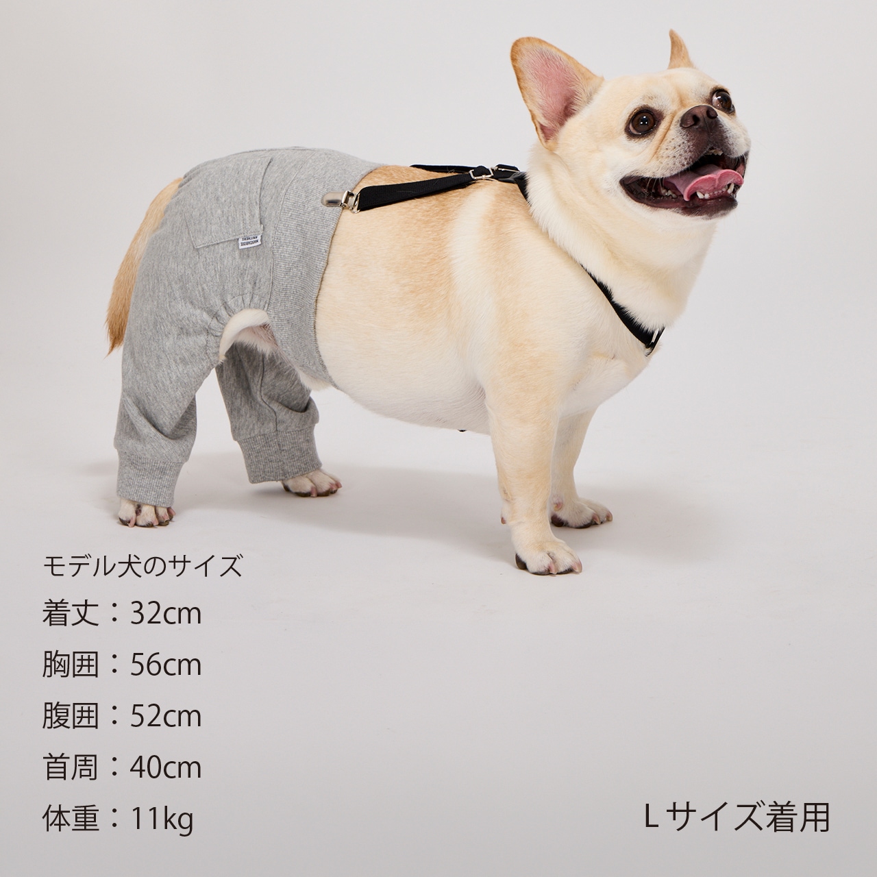 MB SUSPENDER