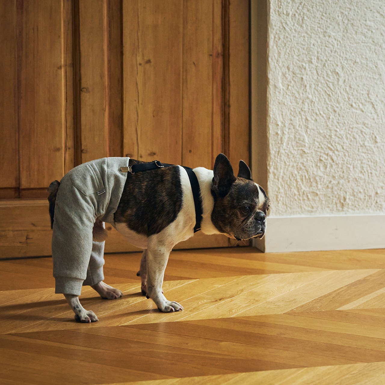 MB SUSPENDER