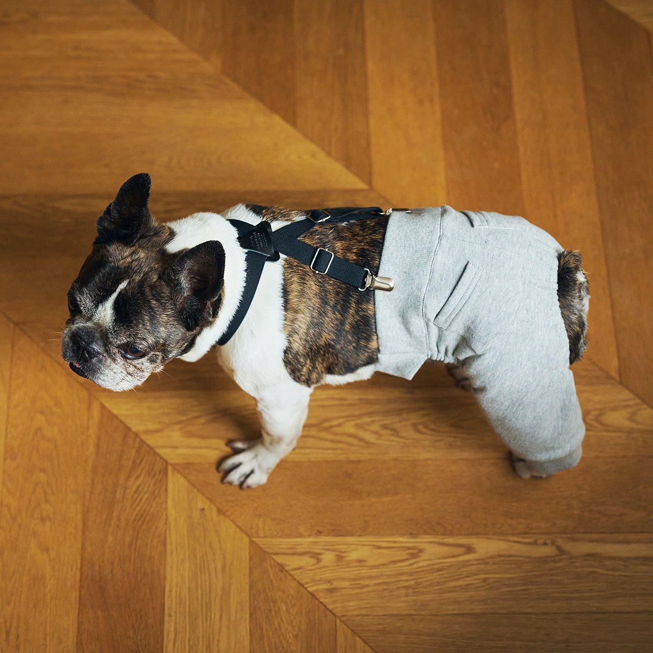 MB SUSPENDER