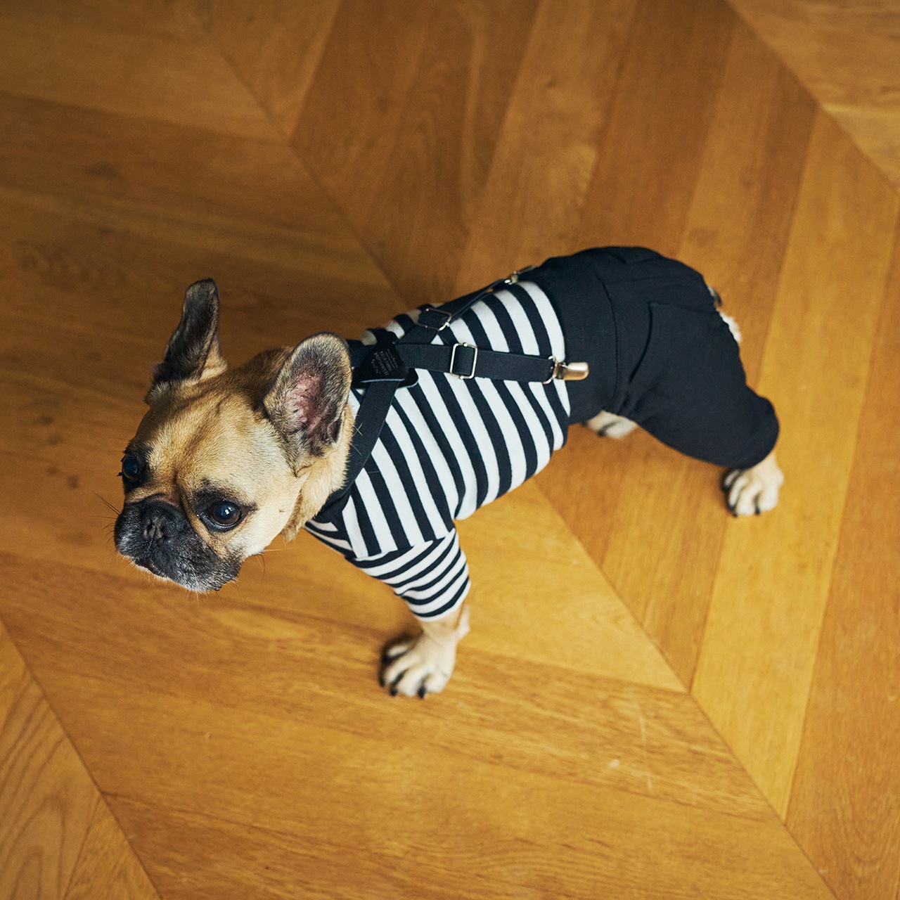 MB SUSPENDER