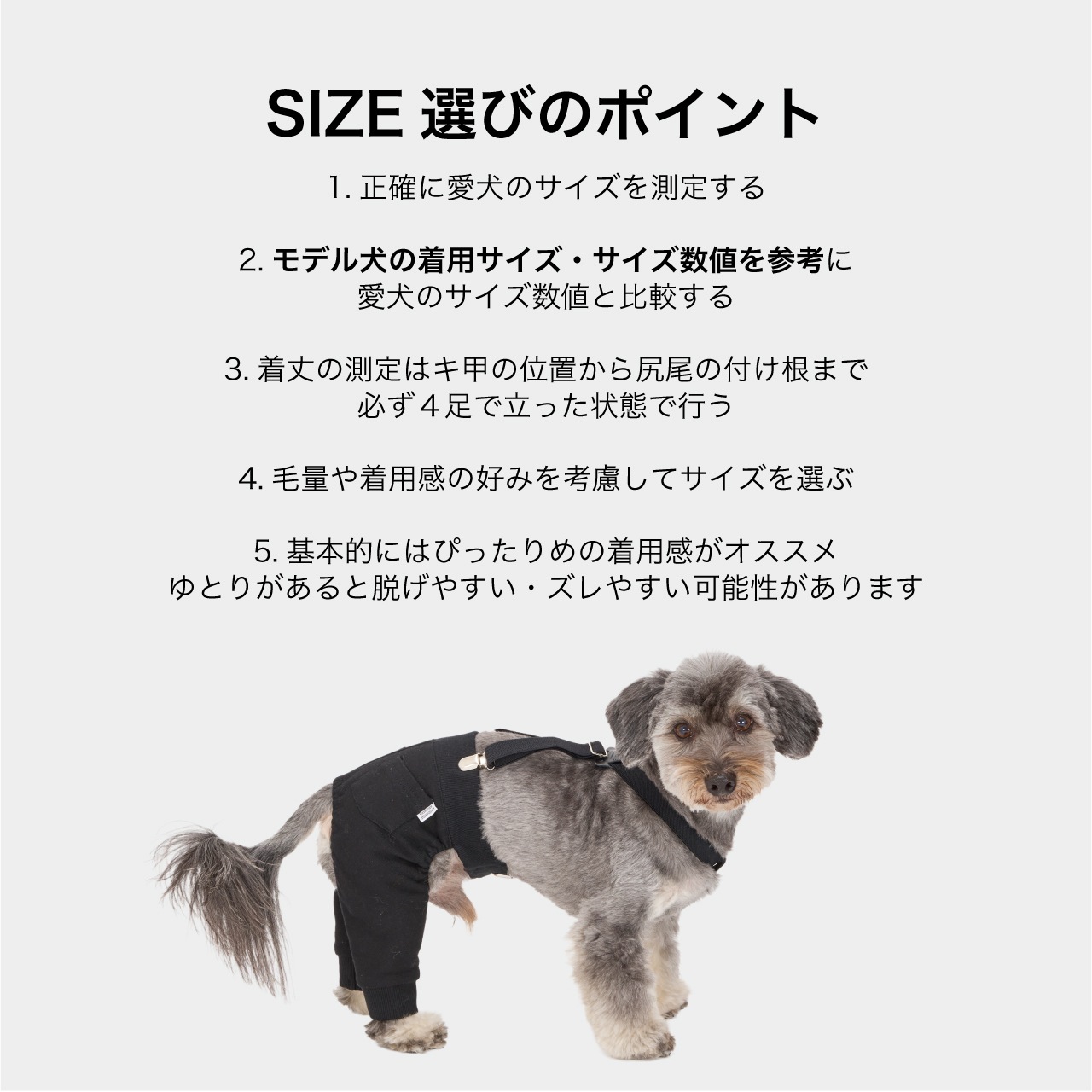 MB SUSPENDER