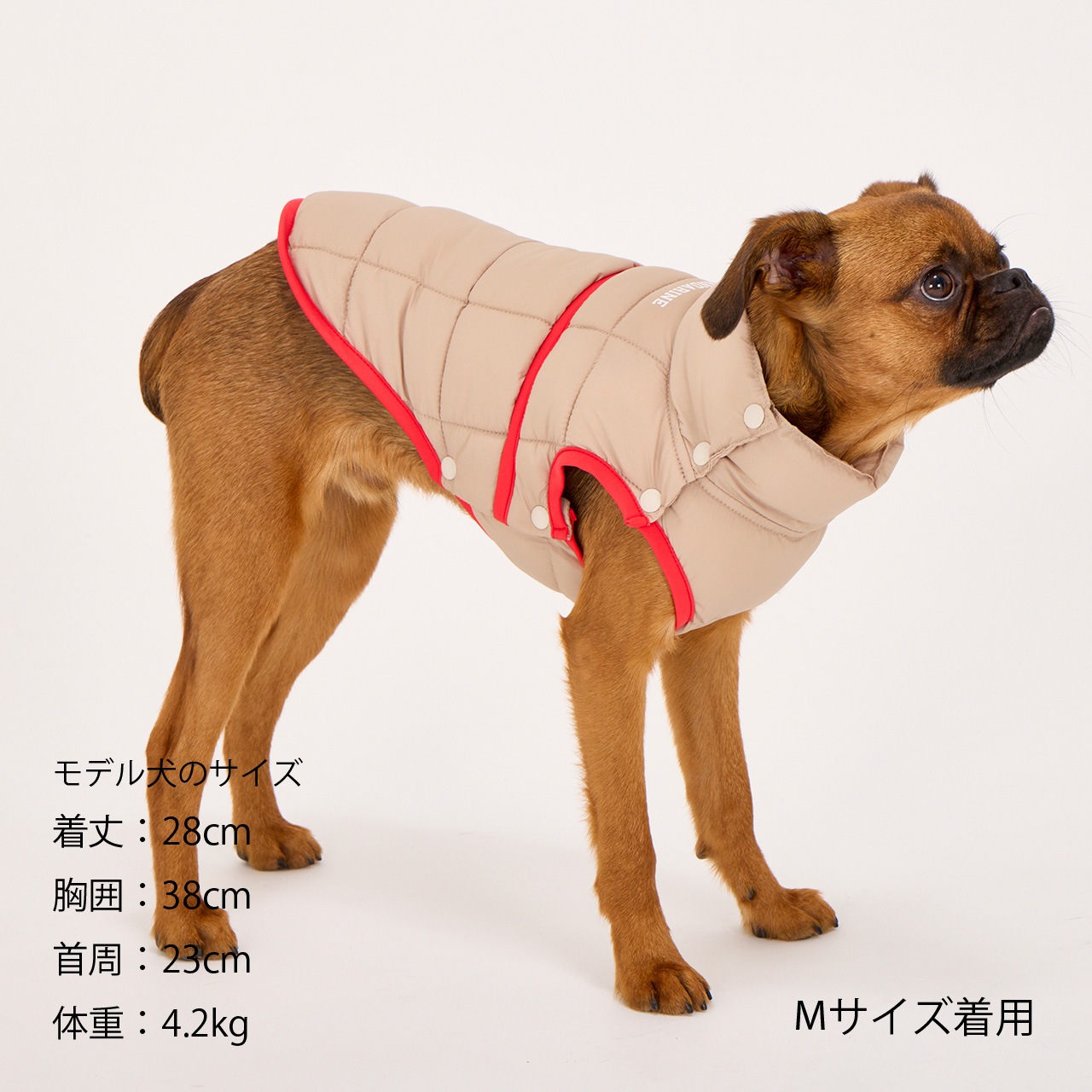 犬まんま SUPER LIGHT PUFF VEST | WEAR | 犬服 MANDARINE BROTHERS