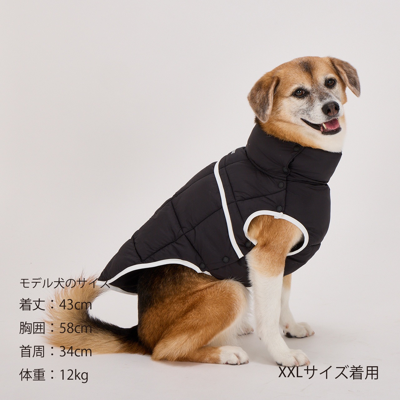 犬まんま SUPER LIGHT PUFF VEST | WEAR | 犬服 MANDARINE BROTHERS