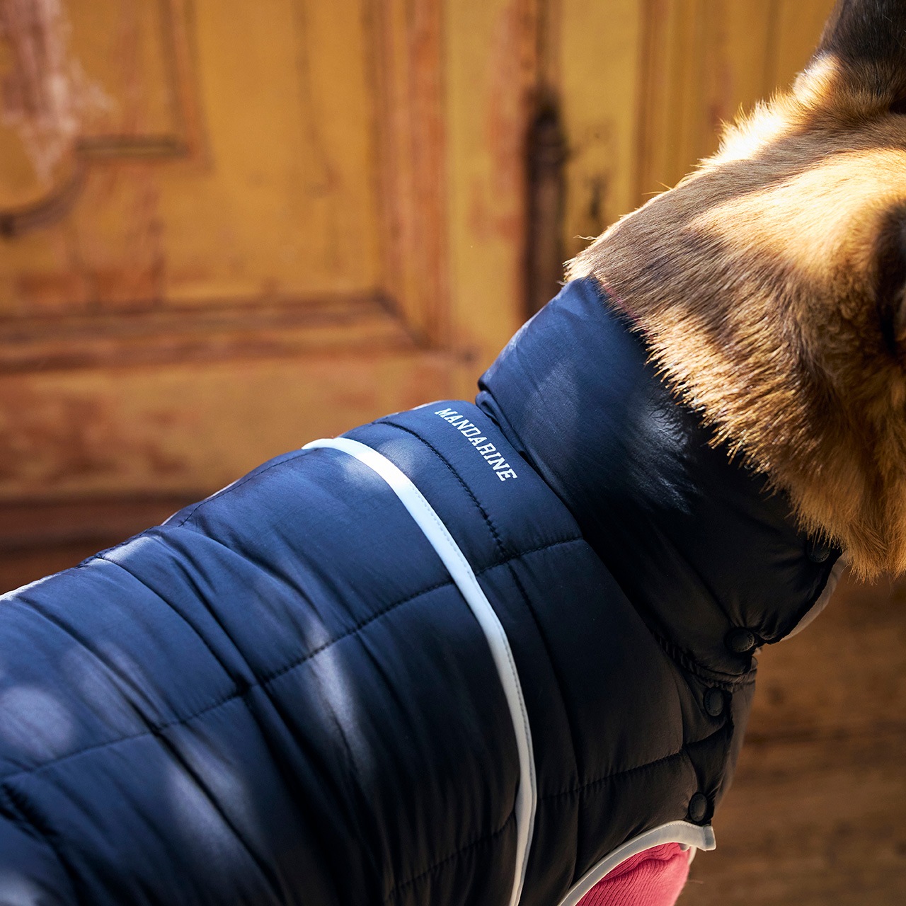 SUPER LIGHT PUFF VEST | WEAR | 犬服 MANDARINE BROTHERS