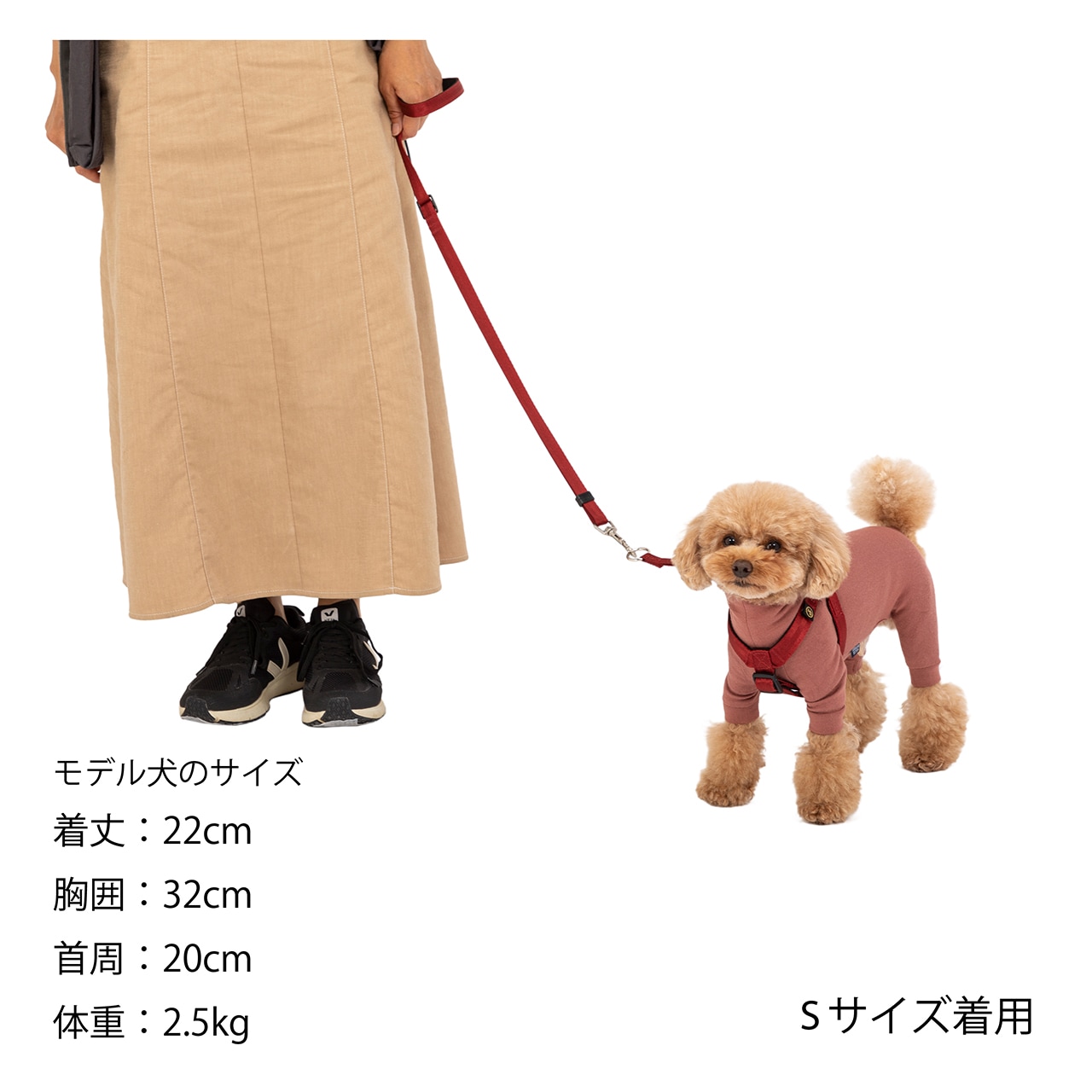 CLASSIC HARNESS | ACCESSARY | 犬服 MANDARINE BROTHERS マンダリン