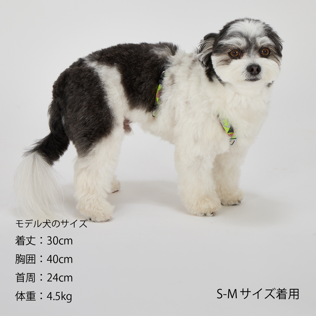 REFLECTIVE HARNESS