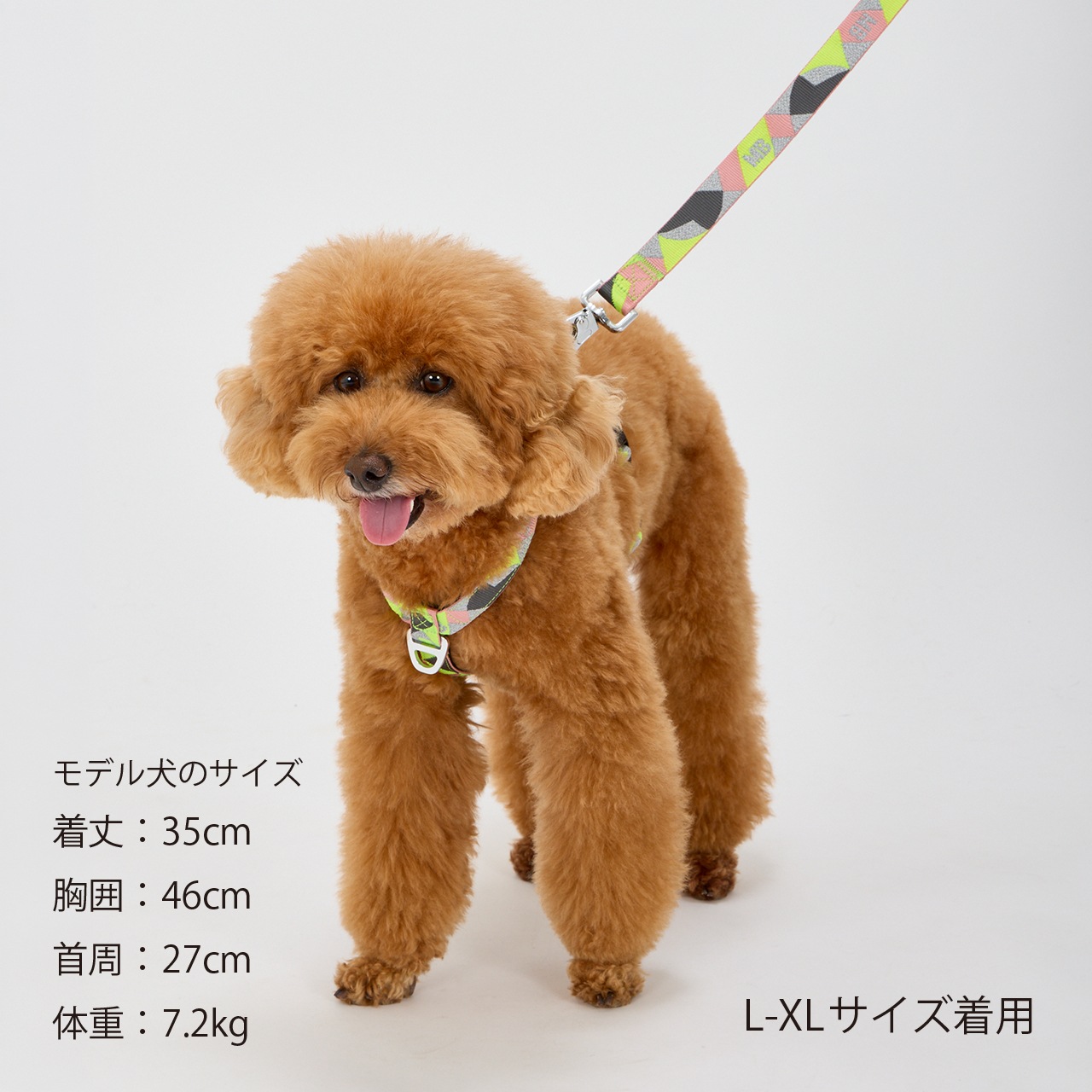 REFLECTIVE HARNESS | 2026AW 新商品 | 犬服 MANDARINE BROTHERS