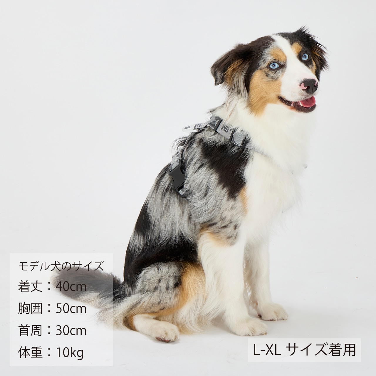 REFLECTIVE HARNESS