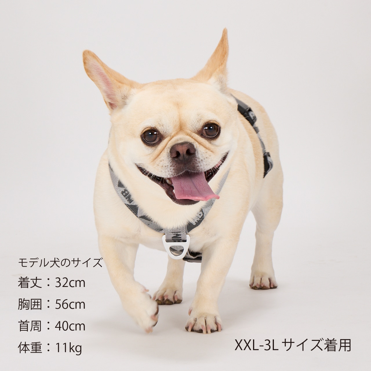 REFLECTIVE HARNESS