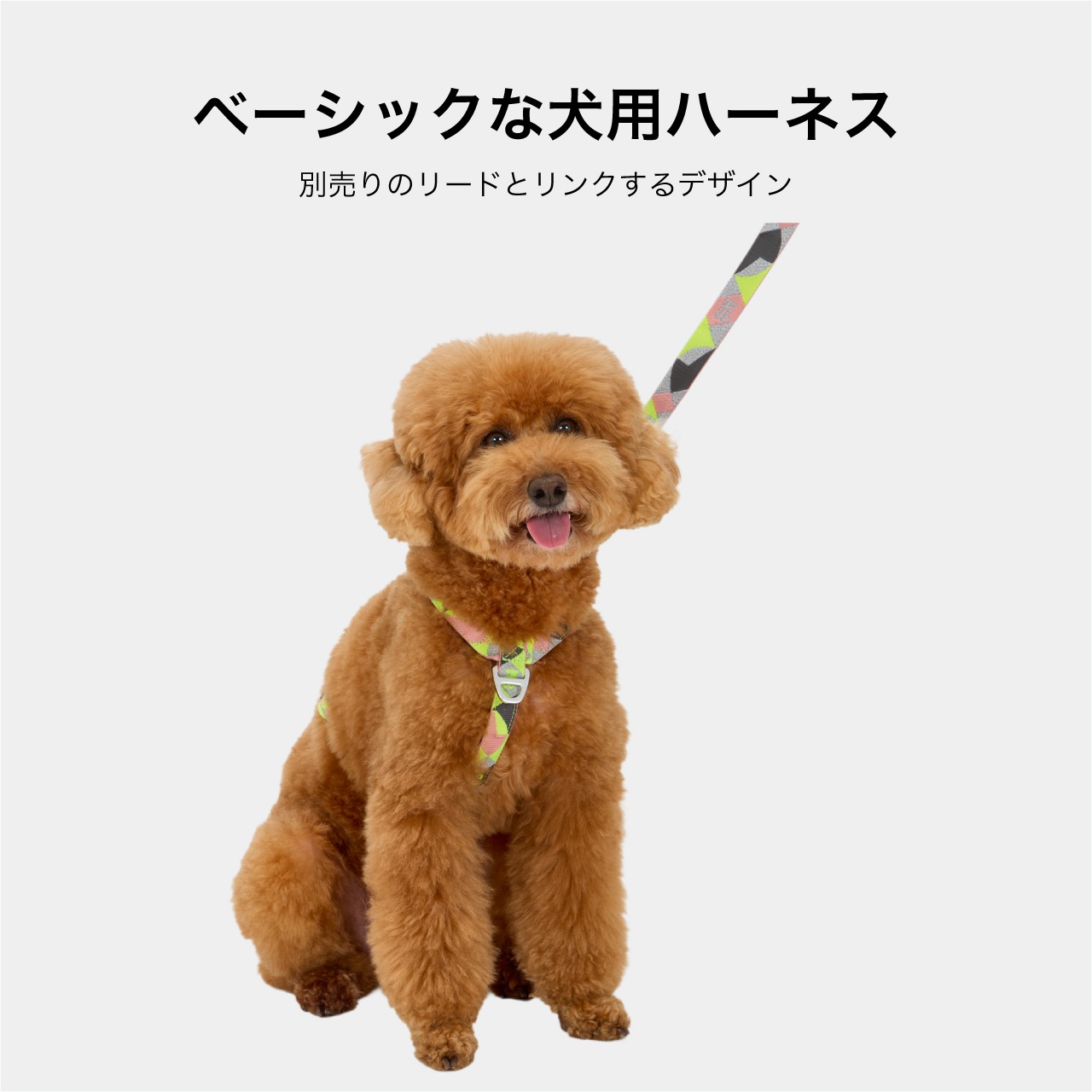REFLECTIVE HARNESS | ACCESSARY | 犬服 MANDARINE BROTHERS