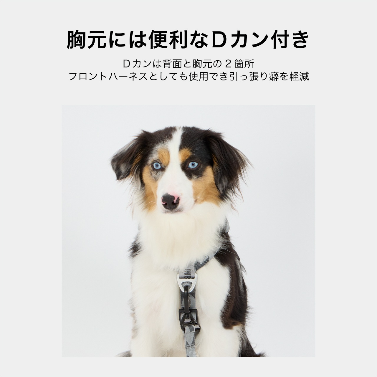 犬服・アクセサリー nov REFLECTIVE HARNESS | ACCESSARY | 犬服 MANDARINE BROTHERS