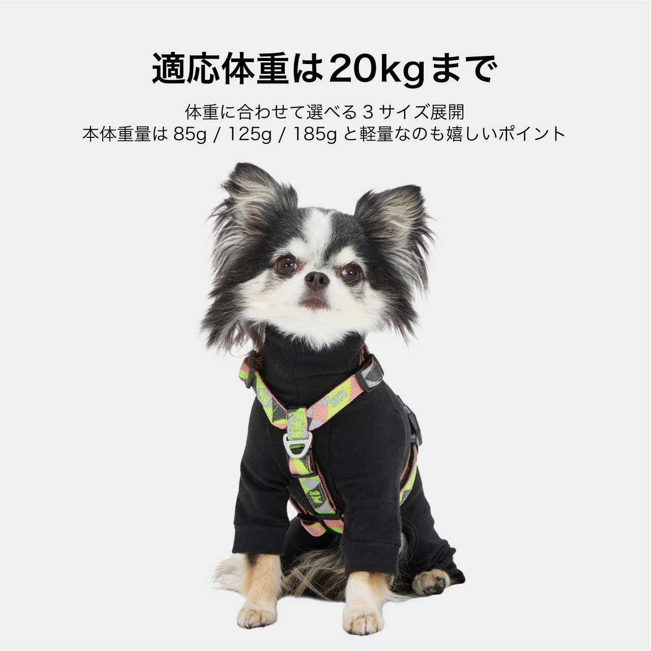 REFLECTIVE HARNESS | ACCESSARY | 犬服 MANDARINE BROTHERS