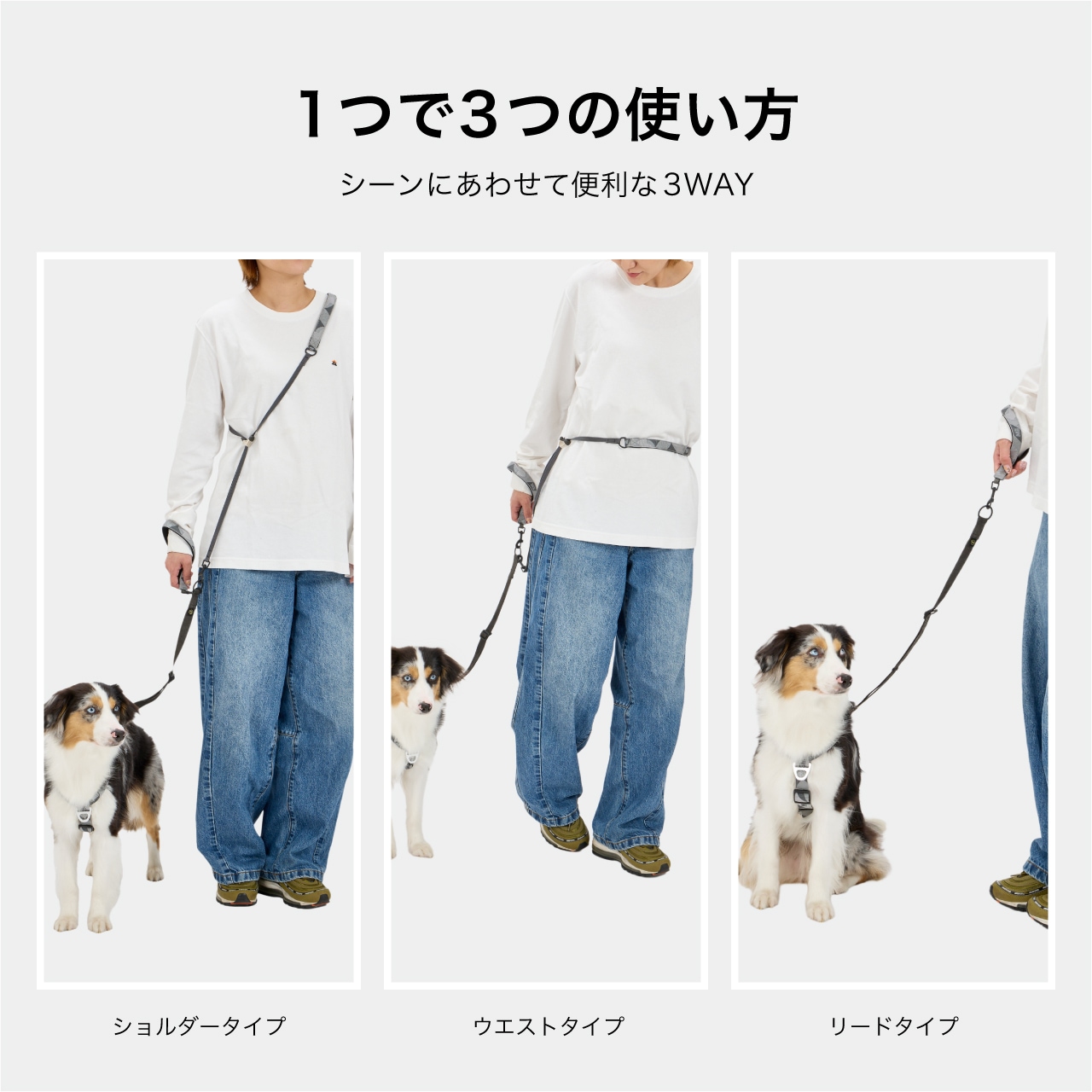 REFLECTIVE HANDS FREE LEASH