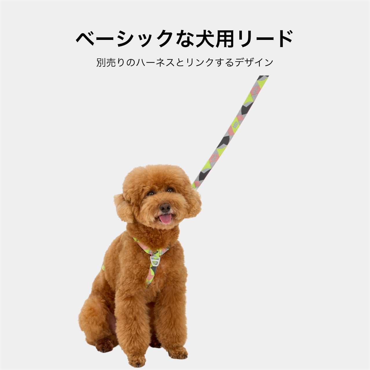 REFLECTIVE LEASH