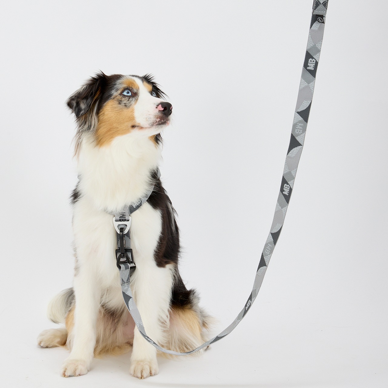 REFLECTIVE LEASH