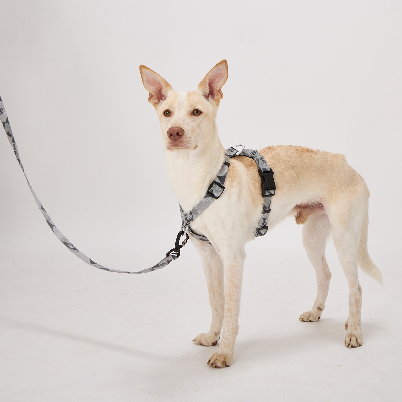 REFLECTIVE LEASH