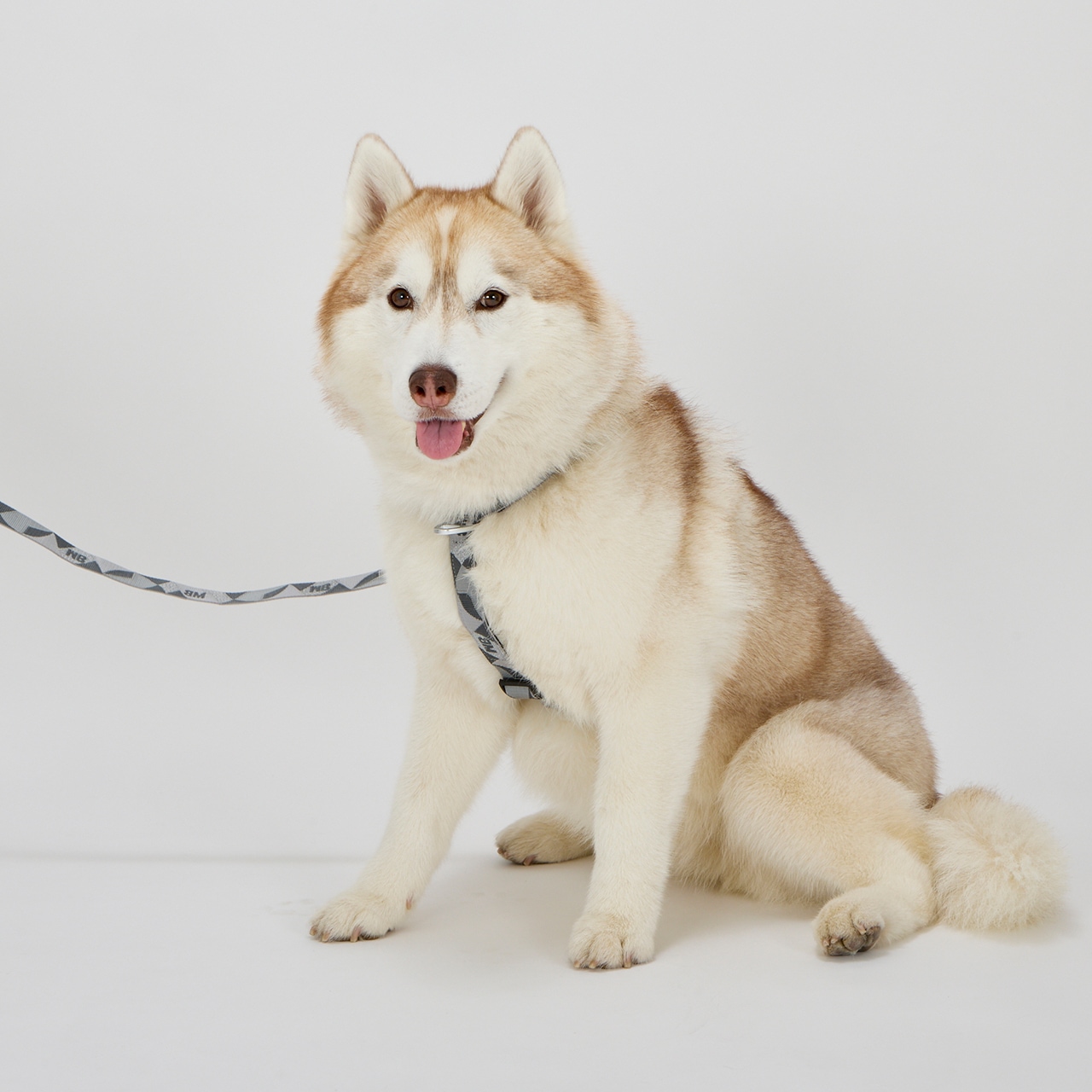 REFLECTIVE LEASH