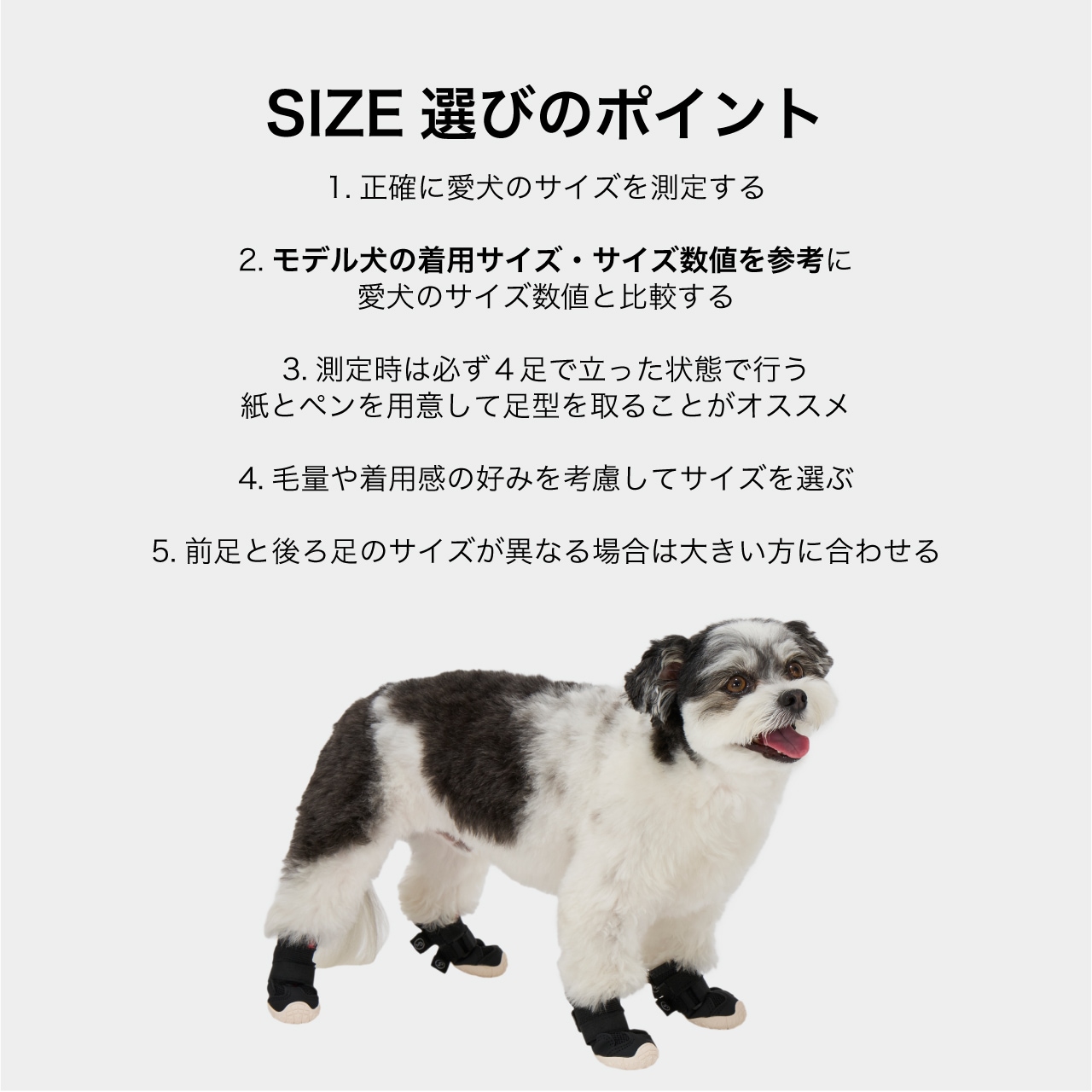 MB SNEAKERS