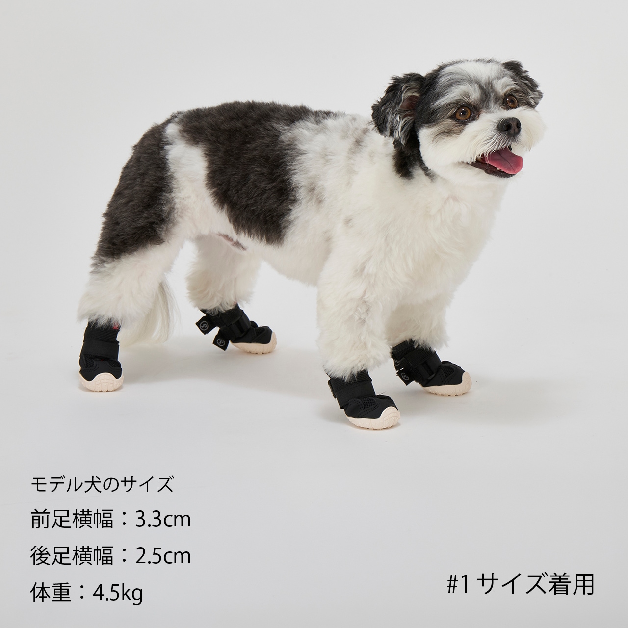 MB SNEAKERS